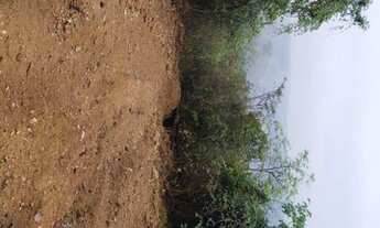 Imagem 4: Realize seu sonho de ter uma chácara hoje mesmo!