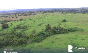Imagem 6: Fazenda com aptidão para pecuária na região de Itaporã do Tocantins - TO