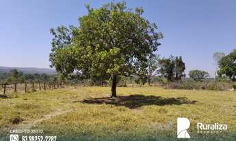 Imagem 11: Fazenda no Vale do Araguaia -TO para exploração agrícola e pecuária