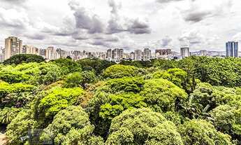 Imagem 4: ANDAR ALTO LINDA VISTA PARA O PARQUE DA ÁGUA BRANCA