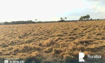 Imagem 5: Fazenda com dupla aptidão no Vale do Araguaia - TO
