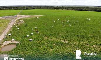 Imagem 4: Fazenda com dupla aptidão em Guaraí - TO