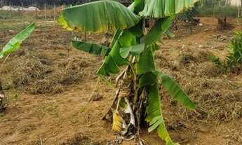 Imagem 3: LOTE 360 MTS-FINANCIO-PEGO CARRO