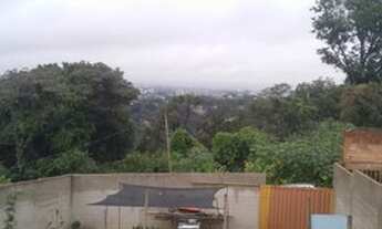 Imagem 5: Lote murado com 200 m2 no Bairro Colonial