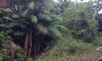 Imagem 4: VENDO PROPRIEDADE RURAL - Presidente Juscelino/MA