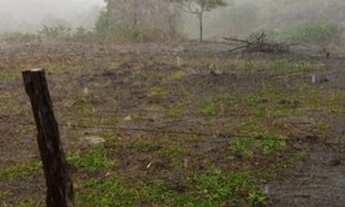 Imagem 10: FAZENDA RURAL em SANTA CRUZ CABRÁLIA - BA, R. Estr. Velha