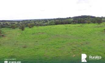 Imagem 4: Fazenda com aptidão para pecuária na região de Itaporã do Tocantins - TO