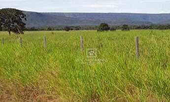 Imagem 5: Fazenda Santa Rita Trielato MT