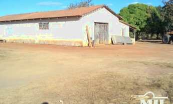 Imagem 5: Fazenda em Araguacema-TO. > 300 Alq. (1.452 Há
