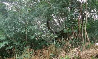 Imagem 6: Terreno-Campinas-NOVA CAMPINAS