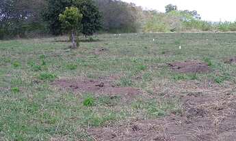 Imagem 5: Vendo terreno Plano, no Km 12 de Aldeia, excelente para empreendimentos