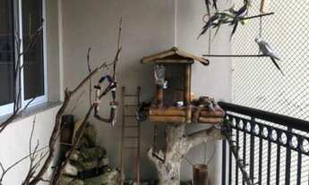 Imagem 5: Apartamento para venda com 3 quartos e varanda gourmet a 2 quadras da av Braz Leme.São Pau