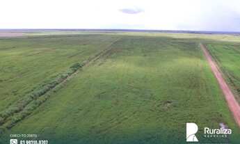 Imagem 2: Fazenda de projeto irrigado por controle de lençol freático na Lagoa da Confunsão - TO
