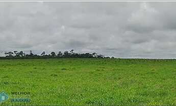 Imagem: Fazenda 549 Alqueires Região de Pimenta