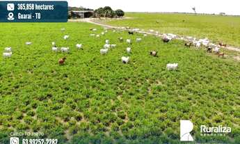 Imagem: Fazenda com dupla aptidão em Guaraí