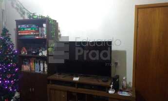 Imagem 3: SãO PAULO - Padrão - Limão