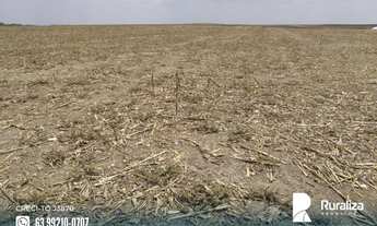 Imagem 5: Fazenda com 4.602,69 hectares e alto potencial para agricultura na região de Goianorte - T