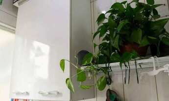 Imagem 3: Apartamento para venda possui 53 metros quadrados com 2 quartos em Vila Inglesa - São Paul