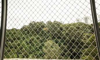 Imagem 3: Apartamento impecável 3 dormitórios e 1 vaga