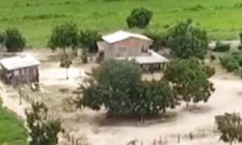 Imagem 3: Fazenda 2.350 ALQ, Paranã - TO