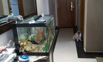 Imagem 5: Apartamento 68 m2 com 2 quartos em Vila Medeiros - São Paulo - SP