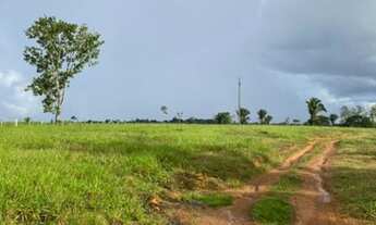 Imagem 2: Fazenda 210 alqueires Machadinho D' Oeste