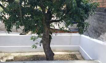 Imagem 7: Excelente Imóvel 250 metros de Terreno