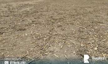 Imagem 6: Fazenda com 4.602,69 hectares e alto potencial para agricultura na região de Goianorte - T