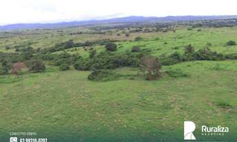 Imagem 5: Fazenda com aptidão para pecuária na região de Itaporã do Tocantins - TO