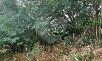 Imagem 5: Terreno-Campinas-NOVA CAMPINAS