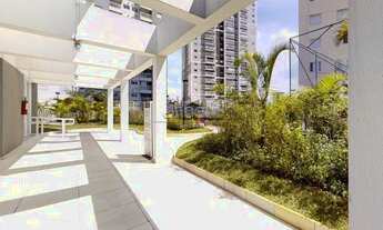 Imagem 4: SãO PAULO - Padrão - Centro