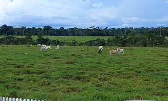 Imagem 3: Fazenda 400 alqueires Guajará