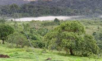 Imagem 5: 618 Alq. (2.990 Há). Pacajá - PA. ( Pecuária - Documentação Ok