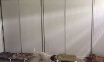 Imagem 5: Casa de condomínio para venda com 600 m com 4 quartos