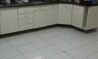 Imagem 5: Casa Térrea em Vila Nair - São Paulo