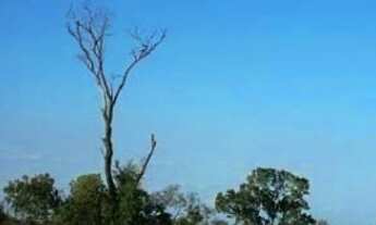 Imagem 2: Fazenda 930 Alq. (4.500 Há). Taipas do Tocantins. (Terra Bruta