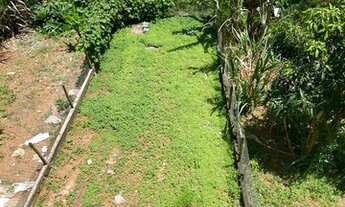 Imagem 5: Casa Para Alugar Parque Independência