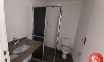 Imagem 7: São Paulo - Casa Padrão - Pinheiros