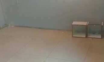 Imagem 3: Aluga-se Quarto com aluguel por R$600 /mês