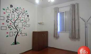 Imagem 10: São Paulo - Apartamento Padrão - Tatuapé