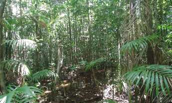 Imagem 2: Vende-se terreno