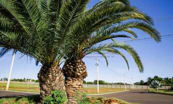 Imagem 3: Araçatuba - Lote/Terreno - Santa Luzia