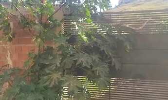 Imagem 4: Lote Vicente Pires