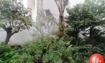 Imagem 5: São Paulo - Casa Comercial - Santana