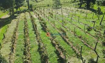 Imagem 7: Chácara com 7 dormitórios à venda, 121000 m² por R$ 3.000.000 - Guairacá - Guarapuava/PR