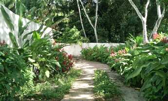 Imagem 2: Alugo Linda casa em Aldeia