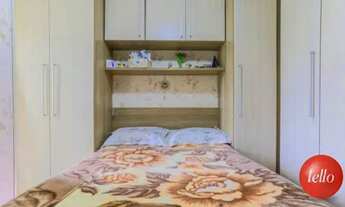 Imagem 6: São Paulo - Casa Padrão - Vila Formosa