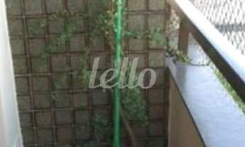 Imagem 3: São Bernardo do Campo - Apartamento Padrão - Parque Santo Antônio