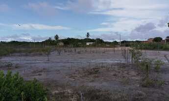 Imagem 3: Terreno da cidade de raposa de frente e 13 de fundo e 15