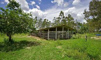 Imagem 3: Lote com 1.000 MTS